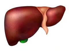 Health Tips: ਜ਼ਿਆਦਾ ਐਂਟੀਬਾਇਓਟਿਕਸ ਖਾਣ ਨਾਲ ਖਰਾਬ ਹੋ ਸਕਦਾ ਲੀਵਰ