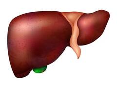 Health Tips: ज्यादा एंटीबायोटिक दवाइयां खाने से डैमेज हो सकता है लिवर