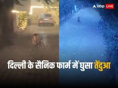 दिल्ली के सैनिक फार्म इलाके में घुस आया तेंदुआ, खौफ में भागते दिखे लोग, देखें वीडियो