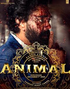 Animal Box office : ஒரே நாளில் இத்தனை கோடி வசூலா..? சாதனை படைத்த ரன்பீர் கபூரின் அனிமல்!