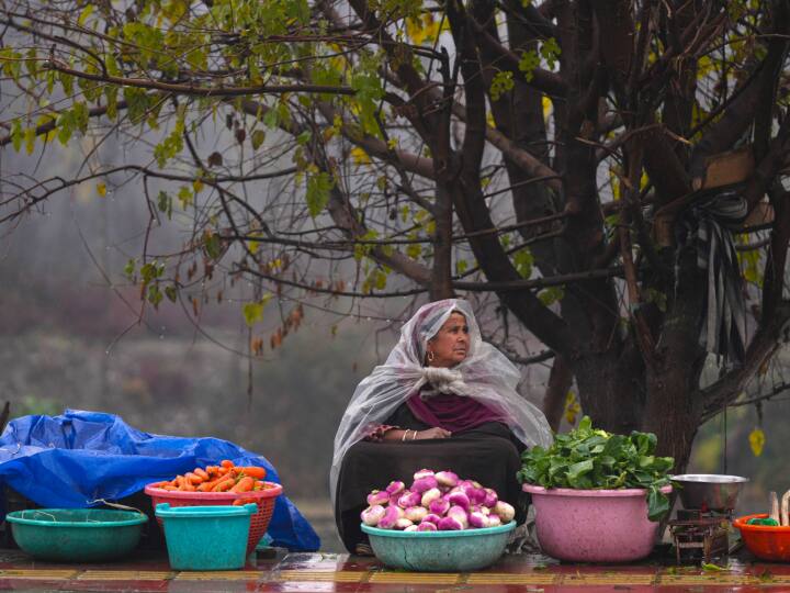 जम्मू कश्मीर में काफी बारिश हो रही है. मौसम विभाग के मुताबिक कुछ दिनों में राज्य में भारी बर्फबारी होने की भी संभावना है