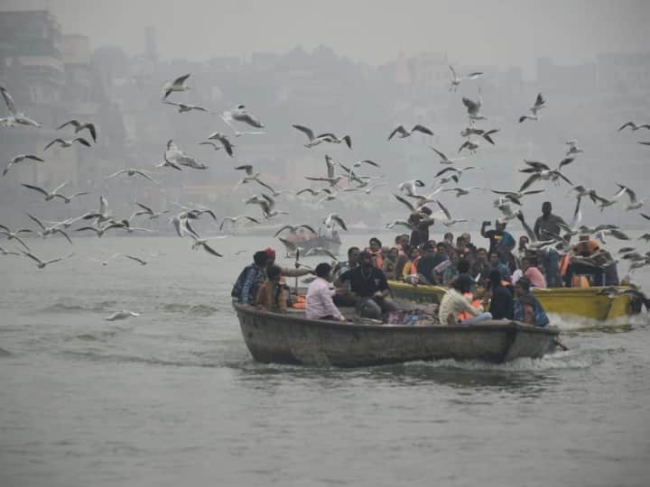 Varanasi News: बनारस में सात समंदर पार से आए विदेशी मेहमानों ने ठंड का एहसास बढ़ा दिया है. घाटों पर सुबह-शाम आसमान में उड़ते विदेशी मेहमानों का दीदार किया जा सकता है.
