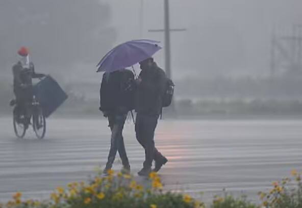 Rainfall in Valsad city and rural areas  Valsad Rain: હવામાન વિભાગની આગાહી વચ્ચે વલસાડ શહેર અને ગ્રામ્ય વિસ્તારમાં વરસાદ 