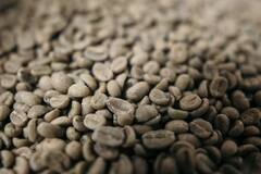 Green Coffee Benefits : फक्त ग्रीन टीच नाही तर ग्रीन कॉफी पिण्याचेही अनेक फायदे; चमकदार त्वचेसह कोलेस्ट्रॉल कमी करण्यास उपयुक्त