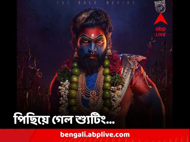 Pushpa The Rule Shooting postponed again as actor allu arjun is having health issues say reports Pushpa 2: ফের পিছিয়ে গেল শ্যুটিং, অসুস্থ অল্লু অর্জুন, কী হয়েছে পর্দার 'পুষ্পা'র?