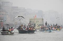 In Pics: विदेशी मेहमानों से गुलजार हुए बनारस के घाट, साइबेरियन पक्षियों ने खुशनुमा बनाया माहौल