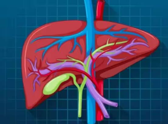 ਐਂਟੀਬਾਇਓਟਿਕਸ ਦੀ ਜ਼ਿਆਦਾ ਵਰਤੋਂ ਤੁਹਾਨੂੰ ਗੰਭੀਰ ਰੂਪ ਵਿੱਚ ਬਿਮਾਰ ਕਰ ਸਕਦੀ ਹੈ। ਡਬਲਯੂਐਚਓ ਦੀ ਇੱਕ ਤਾਜ਼ਾ ਖੋਜ ਦੇ ਅਨੁਸਾਰ ਨਵੇਂ ਅੰਕੜੇ ਕਾਫ਼ੀ ਹੈਰਾਨੀਜਨਕ ਹਨ। ਅਕਸਰ ਲੋਕ ਬੁਖਾਰ ਜਾਂ ਸਰਦੀ-ਖਾਂਸੀ ਦੌਰਾਨ ਐਂਟੀਬਾਇਓਟਿਕਸ ਦੀ ਵਰਤੋਂ ਕਰਦੇ ਹਨ। ਖਾਂਸੀ-ਜ਼ੁਕਾਮ, ਸਰੀਰ ਦਰਦ, ਬੁਖਾਰ ਜਾਂ ਐਲਰਜੀ ਦੇ ਸਮੇਂ ਲੋਕ ਅਕਸਰ ਐਂਟੀਬਾਇਓਟਿਕਸ ਦੀ ਵਰਤੋਂ ਕਰਦੇ ਹਨ।