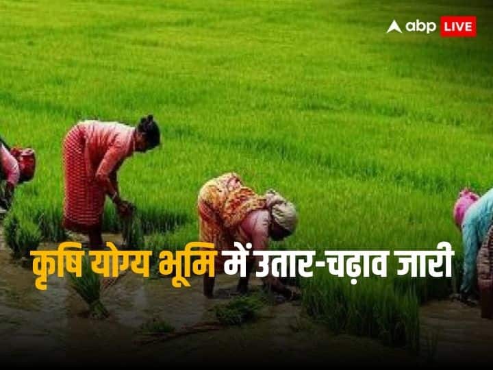 agriculture land in India is growing but world lost one third of total arable area Agricultural land: कैसे पलेगा दुनिया का पेट, खेती की जमीन एक तिहाई घटी, जानिए भारत में क्या है स्थिति