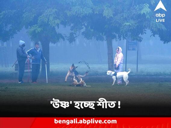 December Weather Update : 'উষ্ণ' হচ্ছে শীত ! 'ডিসেম্বরে শহরে' ঠান্ডা কমার ইঙ্গিত হাওয়া অফিসের