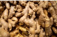 ਸਰਦੀਆਂ 'ਚ ਇੰਝ ਖਾਓ ਅਦਰਕ ਤਾਂ ਕੋਈ ਗੁਣਾ ਦੂਰ ਰਹਿਣਗੀਆਂ ਬੀਮਾਰੀਆਂ, ਜਾਣੋ ਫਾਇਦੇ