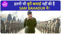 Animal Vs Sam Bahadur Collection: Vicky के करियर की तीसरी बड़ी Opener और Ranbir की बवाल Acting