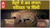 Leopard In Delhi| ਉਹ ਆ ਗਿਆ ਹੈ, ਆਪਣੇ ਘਰਾਂ ਤੋਂ ਬਾਹਰ ਨਾ ਨਿਕਲੋ... ਤੇਂਦੁਏ ਦੇ ਡਰ ਕਾਰਨ ਦਹਿਸ਼ਤ 'ਚ ਦਿੱਲੀ