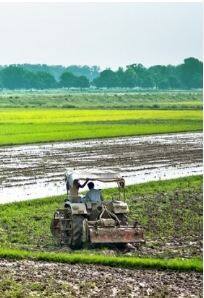 Agricultural land: ਇੱਕ ਤਿਹਾਈ ਘਟੀ ਖੇਤੀ ਵਾਲੀ ਜ਼ਮੀਨ, ਜਾਣੋ ਕੀ ਹੈ ਭਾਰਤ ਦਾ ਹਾਲ