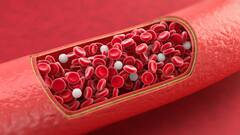 Blood Cancer : सावधान! त्वचेचा बदललेला रंग असू शकतं ब्लड कॅन्सरचं लक्षण, वेळीच सावध व्हा