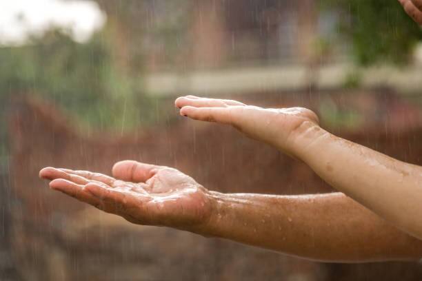 Weather Update Today rain prediction imd alert in tamil nadu karnataka andhra pradesh uttar pradesh maharashtra marathi news Weather Update : अवकाळी पावसाचं संकट कायम! पुढील 48 तास पावसाची रिमझिम कायम; IMD चा अंदाज काय सांगतो?