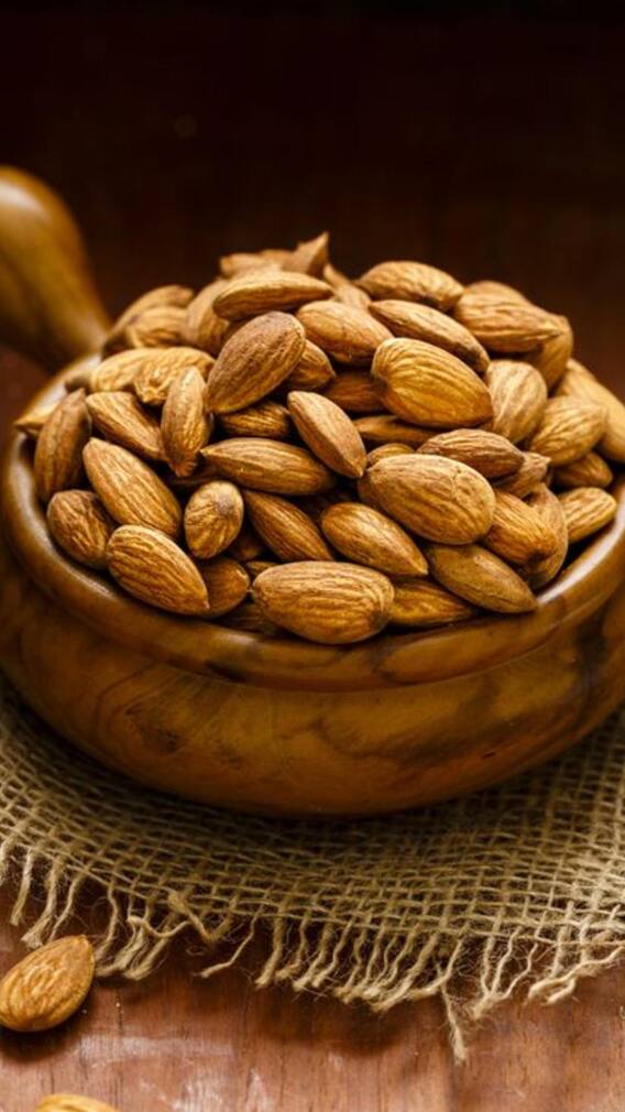 ਘਰ ‘ਚ ਲਾਓ ਬਦਾਮ ਦਾ ਦਰੱਖਤ, ਹੋਵੇਗੀ ਚੰਗੀ ਕਮਾਈ