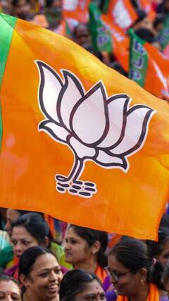 MP में सरकार बना लेगी BJP लेकिन हार जाएंगे ये मंत्री? कई चल रहे पीछे, इन सीटों पर अटकी सांसें