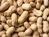 Health Benefits Of Peanuts : పల్లీలు తింటూ బరువు తగ్గిపోవచ్చా? చలికాలంలో తప్పకుండా తినాలా?