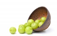 આમળાને શિયાળાનું સુપરફૂડ માનવામાં આવે છે, જાણો તેને ખાવાની સાચી રીત, તેને આહારમાં આ રીતે સામેલ કરો