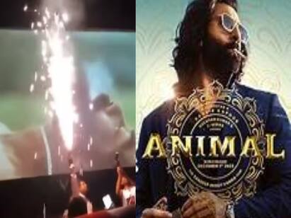 Animal fans burst firecrackers inside theatre internet reacts Animal Movie: தியேட்டருக்குள் பட்டாசு.. சல்மான் ரசிகர்கள் வரிசையில் அலப்பறை செய்த ரன்பீர் ரசிகர்கள்.. வலுக்கும் எதிர்ப்பு!