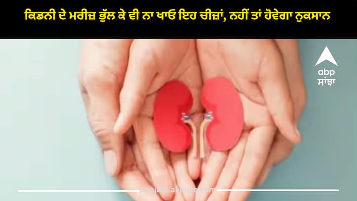 kidney: ਕਿਡਨੀ ਦੀ ਸਿਹਤ ਖ਼ਰਾਬ ਹੋਣ ਕਾਰਨ ਸਰੀਰ ਦੇ ਜ਼ਿਆਦਾਤਰ ਫੰਕਸ਼ਨ ਖਰਾਬ ਹੋ ਜਾਂਦੇ ਹਨ। ਕੁਝ ਭੋਜਨਾਂ ਨੂੰ ਗੁਰਦਿਆਂ ਦੀ ਸਿਹਤ ਲਈ ਖਤਰਨਾਕ ਮੰਨਿਆ ਜਾਂਦਾ ਹੈ, ਇਸ ਲਈ ਗੁਰਦਿਆਂ ਦਾ ਵਿਸ਼ੇਸ਼ ਧਿਆਨ ਰੱਖਣਾ ਚਾਹੀਦਾ ਹੈ।