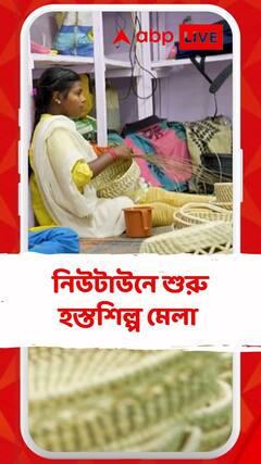 নিউটাউনে শুরু হস্তশিল্প মেলা, কেমন দাম ? কী কী মিলছে ?
