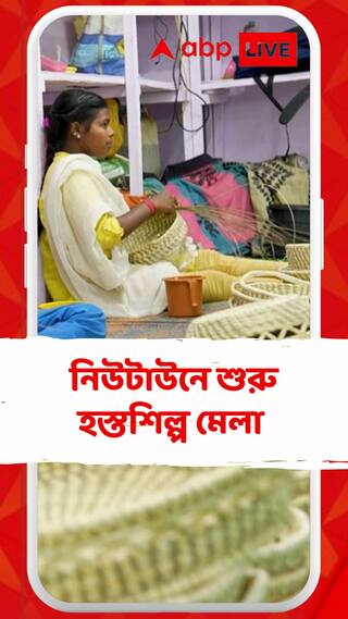 নিউটাউনে শুরু হস্তশিল্প মেলা, কেমন দাম ? কী কী মিলছে ?