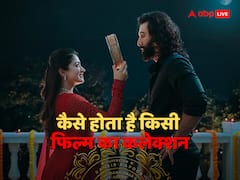 Animal के कलेक्शन ने बनाए बॉक्स ऑफिस पर रिकॉर्ड, जानें कैसे तय होती है फिल्म की पूरी कमाई