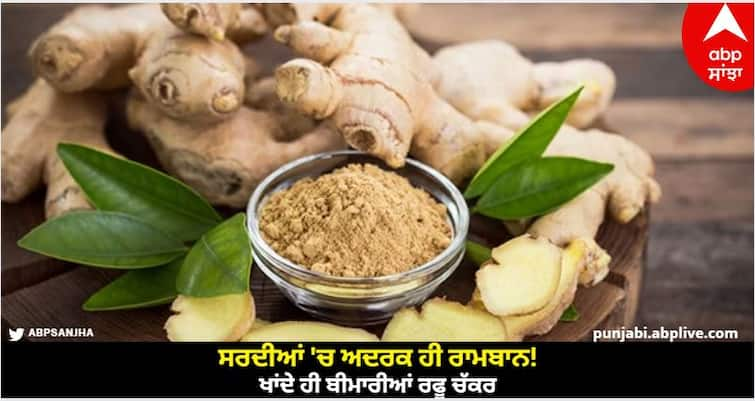 health care tips ginger benefits in winter know full details Ginger Benefits in Winter: ਸਰਦੀਆਂ 'ਚ ਅਦਰਕ ਹੀ ਰਾਮਬਾਨ! ਖਾਂਦੇ ਹੀ ਬੀਮਾਰੀਆਂ ਰਫੂ ਚੱਕਰ