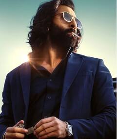 'एनिमल' समेत बॉलीवुड की ये हैं 5 बिग ओपनिंग फिल्में,  दूर दूर तक नहीं है  Salman Khan की फिल्मों का जिक्र