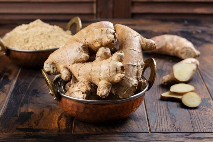 Winter Health Tips: If you consume ginger in this way in winter diseases will stay away know the benefits Winter Health Tips: શિયાળામાં આ રીતે કરશો આદુનું સેવન તો બીમારીઓ રહેશે દૂર, જાણો ફાયદા