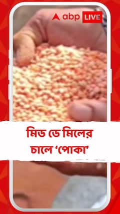মিড ডে মিলের চালে কিলবিল করছে পোকা