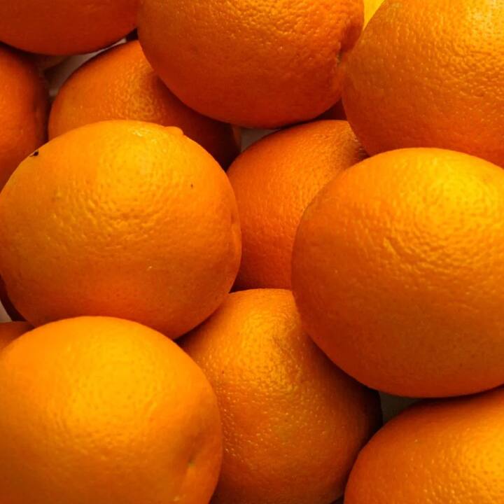 ਸੰਤਰੇ ਨੂੰ ਇਸ ਤਰੀਕੇ ਨਾਲ ਪਕਾਉਣ ਨਾਲ, ਬਾਇਓਫਲਾਵੋਨੋਇਡਜ਼ ਛਾਲ ਨਾਲ ਮਿੱਝ ਵਿਚ ਘੁਲ ਜਾਂਦੇ ਹਨ ਅਤੇ ਖੰਘ ਪੈਦਾ ਕਰਨ ਵਾਲੇ ਬੈਕਟੀਰੀਆ ਨੂੰ ਖਤਮ ਕਰਦੇ ਹਨ।