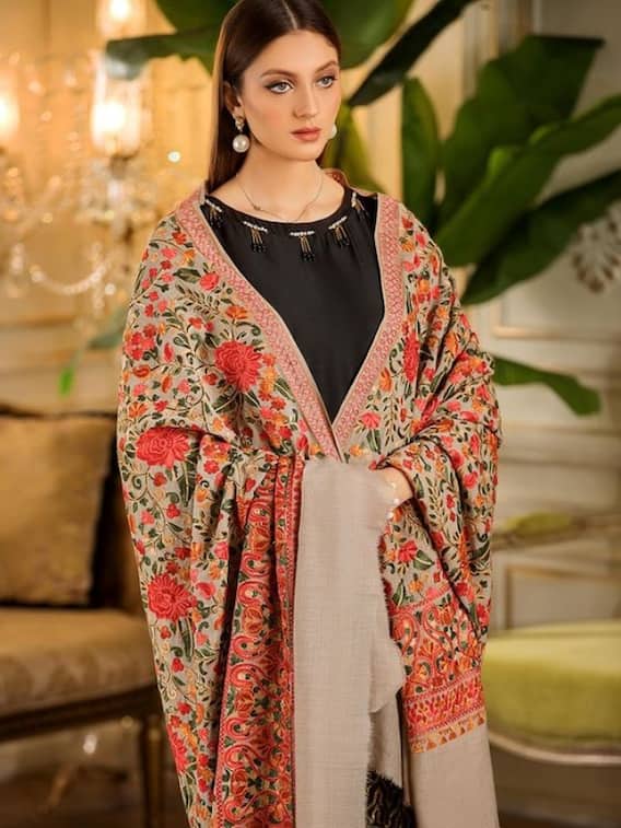 सर्दियों की शादी में साड़ी के ऊपर ट्राई करें ये शॉल, दिखेंगी सबसे अलग