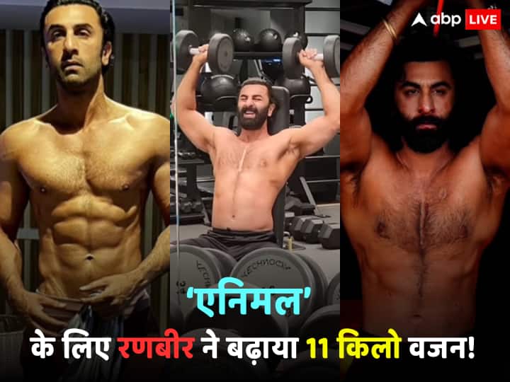 Ranbir kapoor gained 11 kg weight for sandeep reddy vanga animal fitness coach shared video of workout Animal के लिए Ranbir Kapoor ने बढ़ाया 11 किलो वजन, खूब किया वर्कआउट! फिटनेस कोच ने वीडियो शेयर कर दिखाई कड़ी मेहनत की झलक