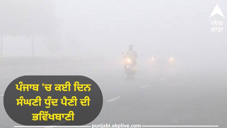 dense fog alert in punjab know punjab weather update Punjab Weather: ਪੰਜਾਬ 'ਚ ਕਈ ਦਿਨ ਸੰਘਣੀ ਧੁੰਦ ਪੈਣੀ ਦੀ ਭਵਿੱਖਬਾਣੀ, ਮੌਸਮ ਵਿਭਾਗ ਨੇ ਅਲਰਟ ਕੀਤਾ ਜਾਰੀ