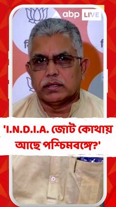 'I.N.D.I.A. জোট কোথায় আছে পশ্চিমবঙ্গে?', কটাক্ষ দিলীপের
