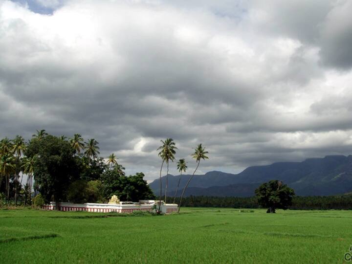 வயல் வெளிகள் நடுவில் அழகிய தோற்றத்தில் சாமாண்டி அம்மன் திருக்கோவில்