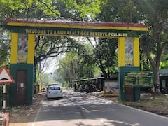 வளைந்து நெளிந்து மலையேறும் வால்பாறை மலைப்பாதை!