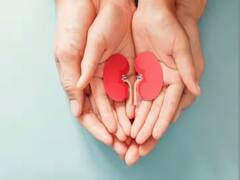 Health Tips : जर तुम्ही किडनीचे रुग्ण असाल तर चुकूनही 'या' गोष्टी खाऊ नका; आरोग्यासाठी अत्यंत धोकादायक!