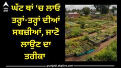 Agriculture: ਘੱਟ ਥਾਂ ‘ਚ ਲਾਓ ਤਰ੍ਹਾਂ-ਤਰ੍ਹਾਂ ਦੀਆਂ ਸਬਜ਼ੀਆਂ, ਜਾਣੋ ਲਾਉਣ ਦਾ ਤਰੀਕਾ