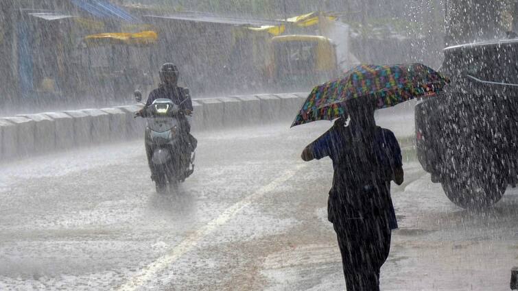 According to the forecast of the Meteorological Department, there will be light rain in this district of Gujarat abpp Gujarat Weather: રાજ્યમાં આગામી 2 દિવસ આ જિલ્લામાં થશે ફરી માવઠુ, તાપમાનનો પારો ગગડતા ઠંડીનું વધશે જોર