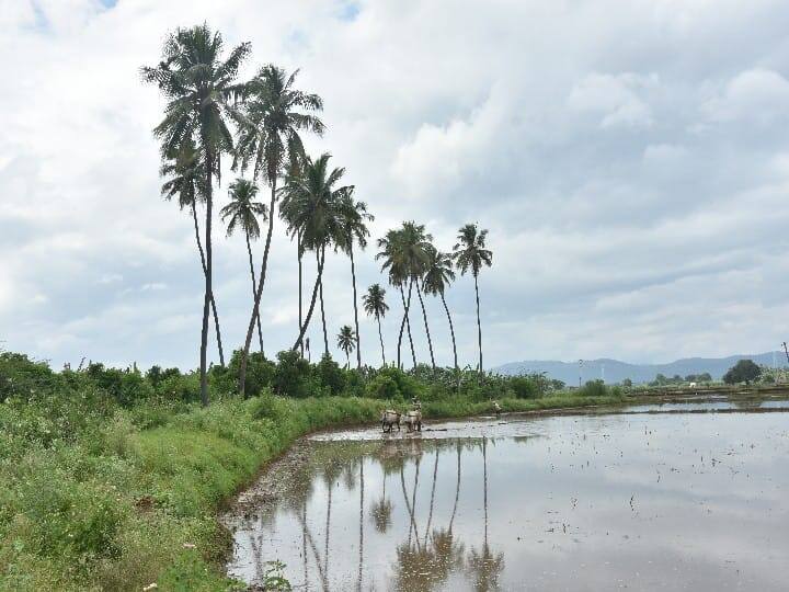 மணப்பாற மாடுகட்டி மாயவரம் ஏறு பூட்டி வயக்காட்ட உழுது போடு சின்னக் கண்ணு பசுந்தழைய போட்டு பாடுபடு செல்லக் கண்ணு.