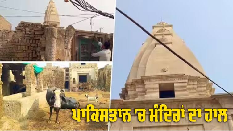 temple in Pakistan's Sadiqabad into animal farm sparks ourtage Viral Video: ਪਾਕਿਸਤਾਨ 'ਚ ਹਿੰਦੂ ਮੰਦਿਰ ਦੀ ਬੇਅਦਬੀ ! ਵੀਡੀਓ ਸਾਹਮਣੇ ਆ ਗਈ ਨਹੀਂ ਤਾਂ ਇਵੇਂ ਹੀ ਰਹਿਣਾ ਸੀ ਚੱਲਦਾ