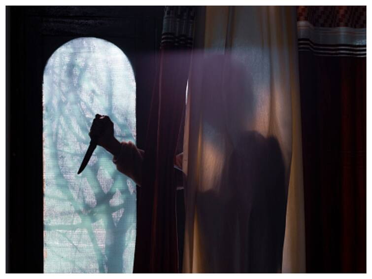 Delhi Crime Against Women FIRs Road Fatalities National Crime Records Bureau NCRB Crime Against Women: Nearly 2 Females Targeted In Delhi Every Hour In 2022, NCRB Says