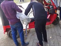 प्रतापगढ़: गैंगस्टर को घर में सारस पालने का शौक, अवैध संपत्ति खंगालने पहुंची पुलिस ने किया बरामद