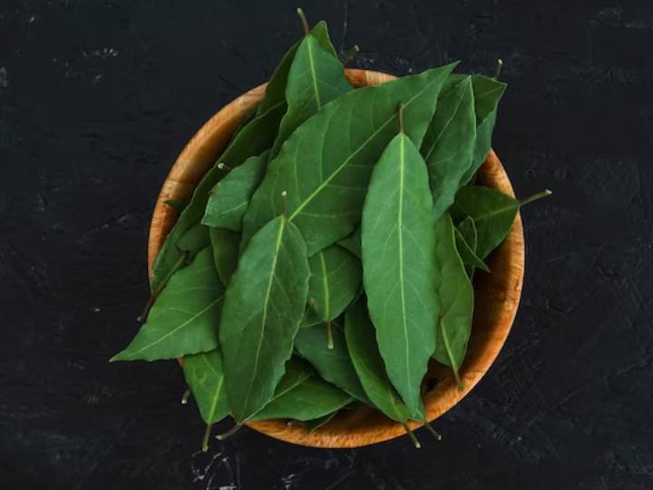 Eating Curry Leaves Daily On An Empty Stomach Has Such An Effect On The ...