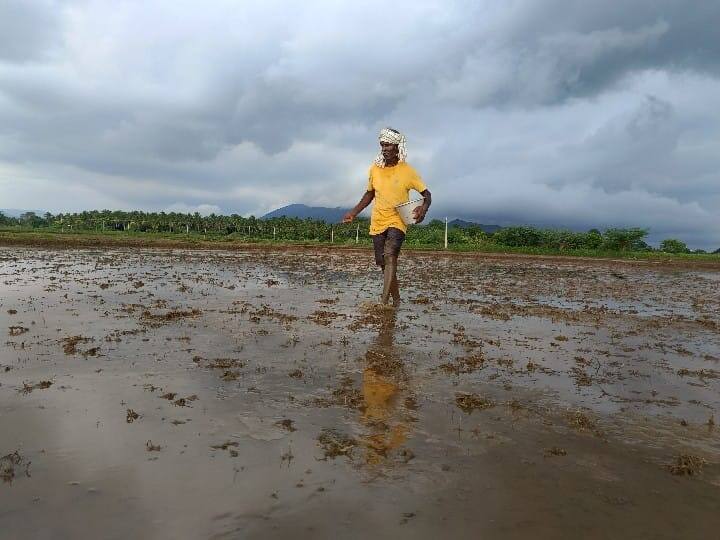 முதல் போகத்திற்கு விதை விதைக்கும் நீரைத்தான் பகுதி விவசாயி.