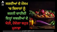 Vegetables cultivation: ਸਰਦੀਆਂ ਦੇ ਮੌਸਮ ‘ਚ ਕਿਸਾਨਾਂ ਨੂੰ ਕਰਨੀ ਚਾਹੀਦੀ ਇਨ੍ਹਾਂ ਸਬਜ਼ੀਆਂ ਦੇ ਖੇਤੀ, ਹੋਵੇਗਾ ਬਹੁਤ ਮੁਨਾਫ਼ਾ