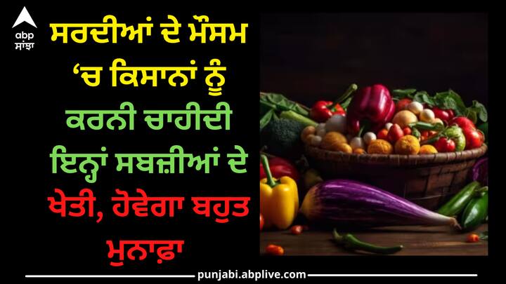 Vegetables cultivation: ਕਿਸਾਨ ਭਰਾ ਸਰਦੀਆਂ ਦੇ ਮੌਸਮ ਵਿੱਚ ਇੱਥੇ ਦੱਸੀਆਂ ਗਈਆਂ ਸਬਜ਼ੀਆਂ ਉਗਾ ਸਕਦੇ ਹਨ। ਇਨ੍ਹਾਂ ਫ਼ਸਲਾਂ ਦੀ ਕਾਸ਼ਤ ਕਰਕੇ ਕਿਸਾਨ ਭਰਾਵਾਂ ਨੂੰ ਭਾਰੀ ਮੁਨਾਫ਼ਾ ਹੋਵੇਗਾ।